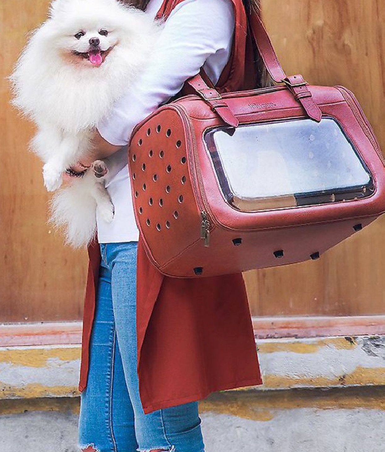 Pet Leather Dog & Cat Travel Bag