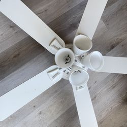 Hampton Bay  Ceiling Fan 22 Inch Blades