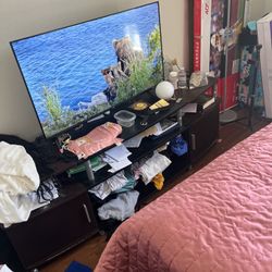 EVERYTHING MUST GO- Entertainment Center