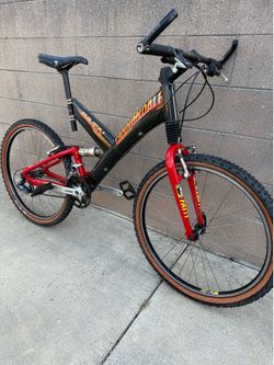 Mountain bike