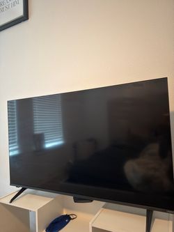 Vizio Flat Screen TV 43”