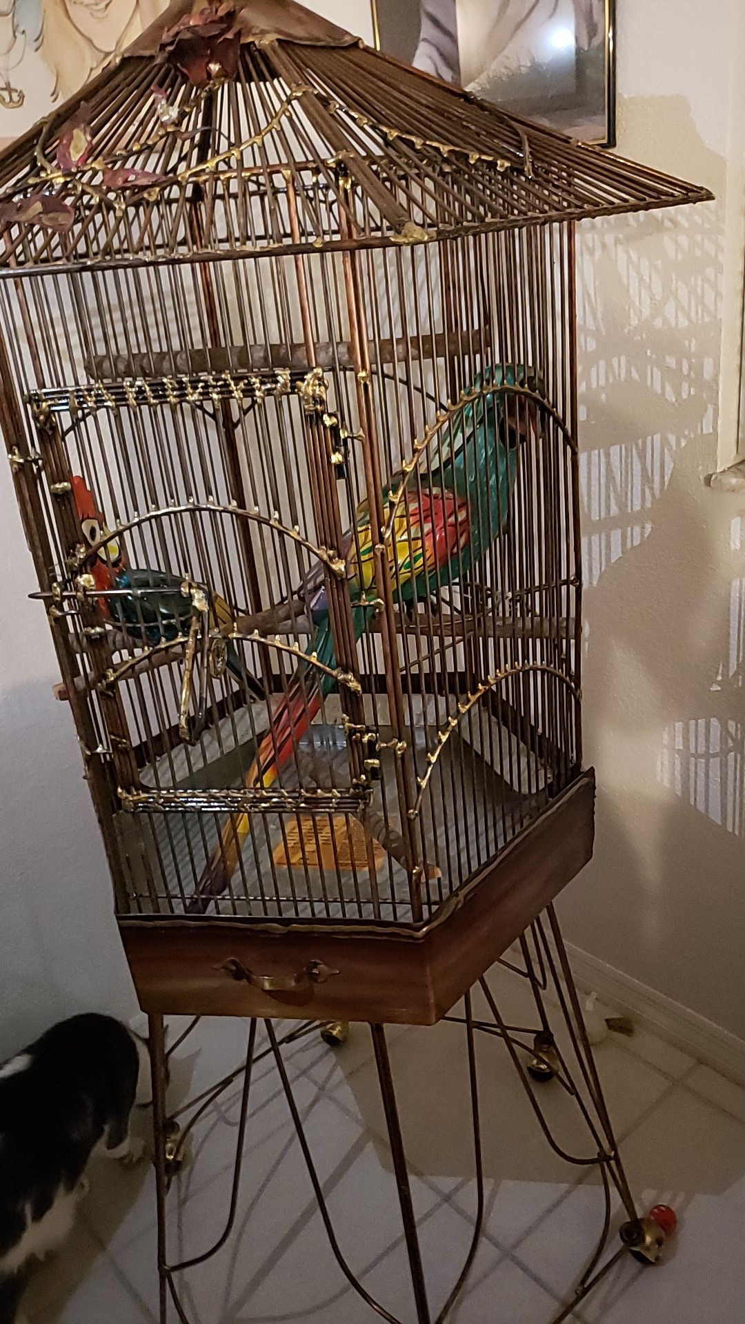 Bird cage