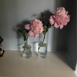 Set of 2 Clear Cylindrical Glass Vase, 9” and 10.5” Tall