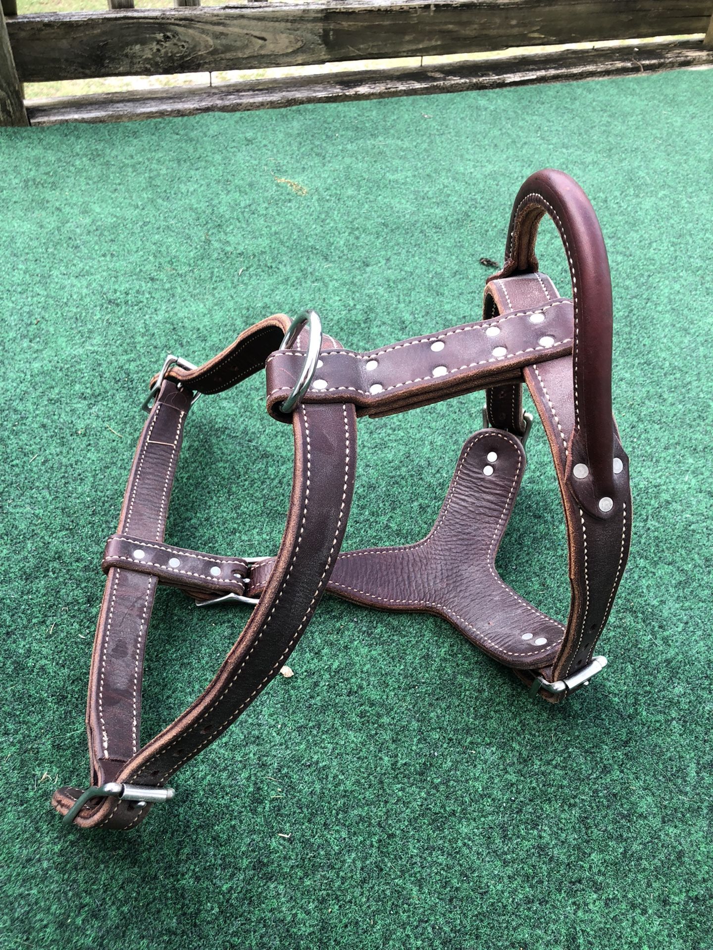 Large Leather Harness