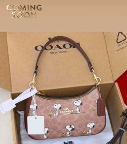 Snoopy purse