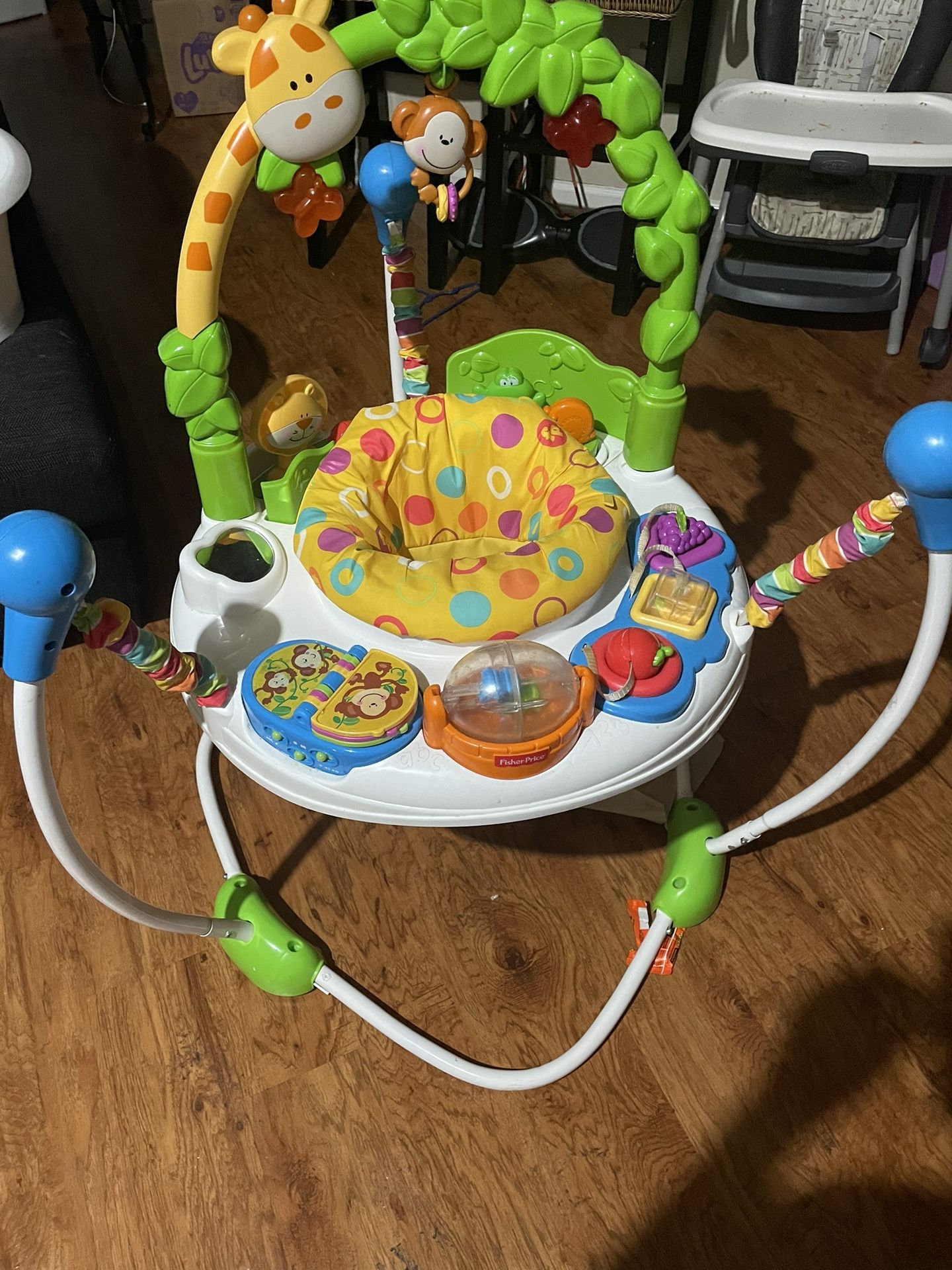 Fisher Price Activity Bouncer