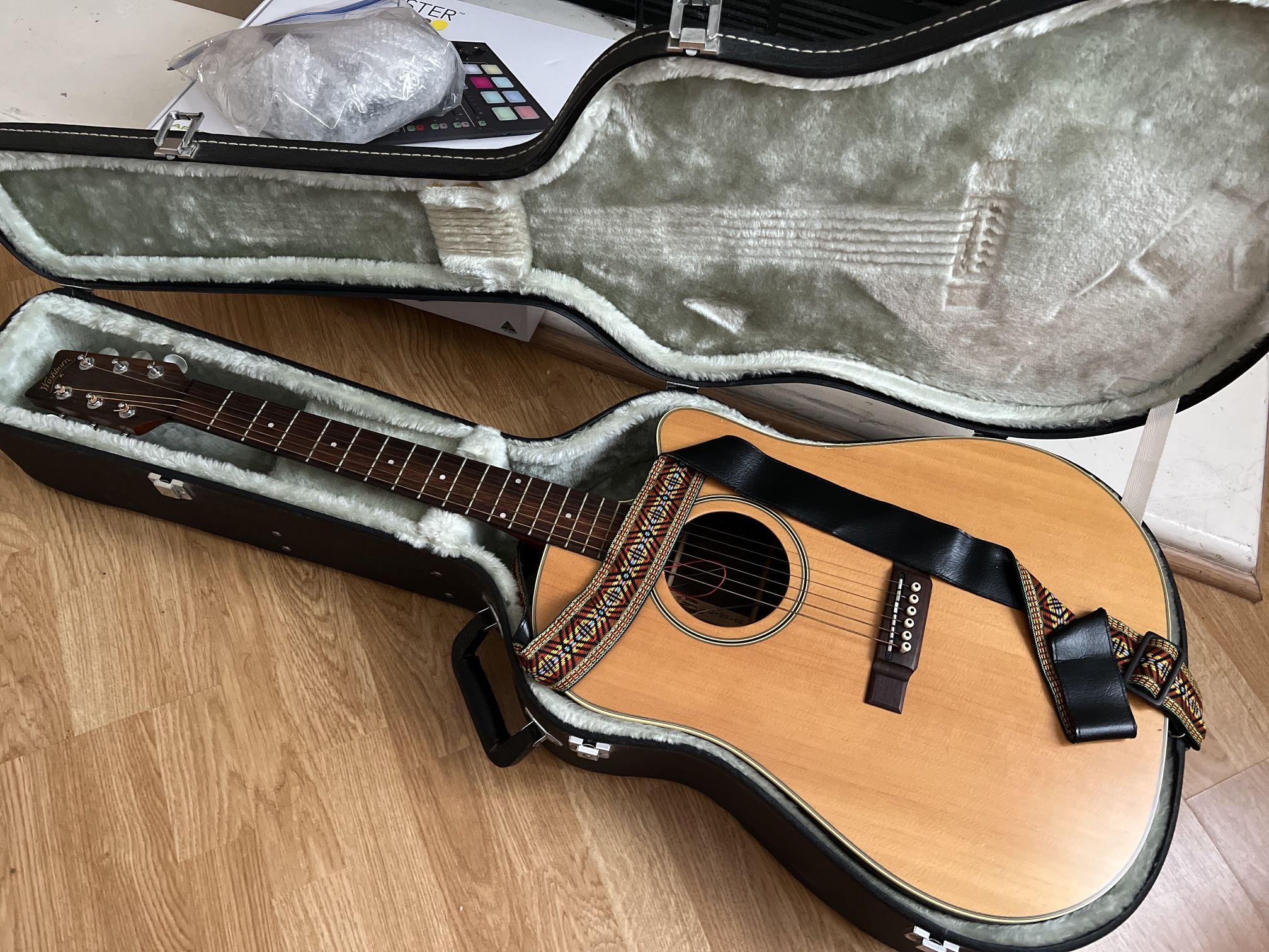 Electric Acoustic Guitar