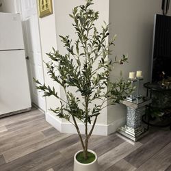Pretty Artificial Plant Olive 🫒 Tree 5 Ft Tall Comes With Planter And Inside Grass  ! Brand New