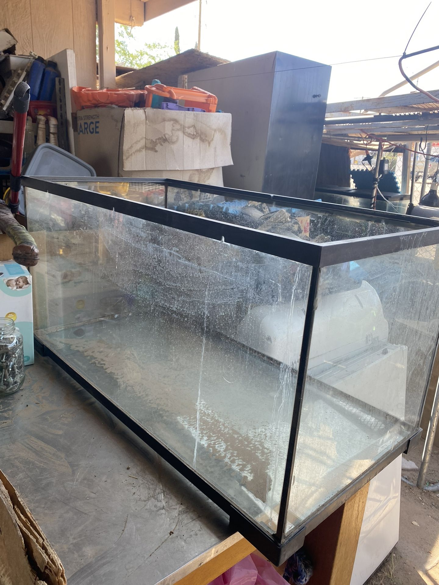 50 Gallon Aquarium Tank