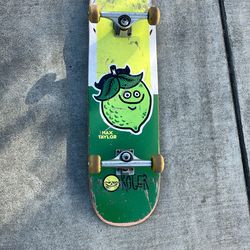 roger max taylor skateboard