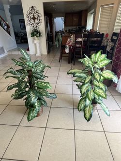 Plantas Artificiales