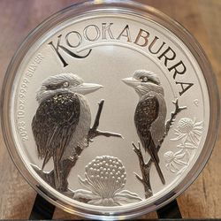 2023 10 toz kookaburra