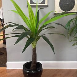 Realistic Yucca Palm Tree Synthetic Faux Plant in Heavy Black Lacquer Ceramic Pot.