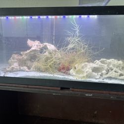 Aqueon 20 Gallon Long Reef Tank 