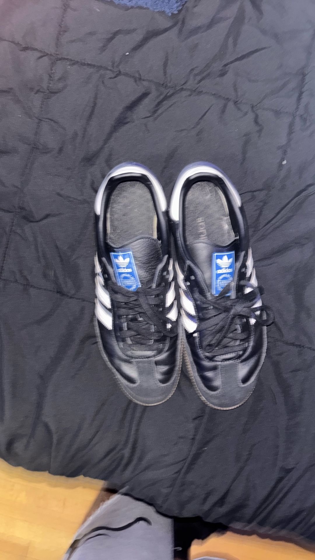 Adidas Sambas/ Normal Wear