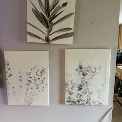 Wall Canvas(s)