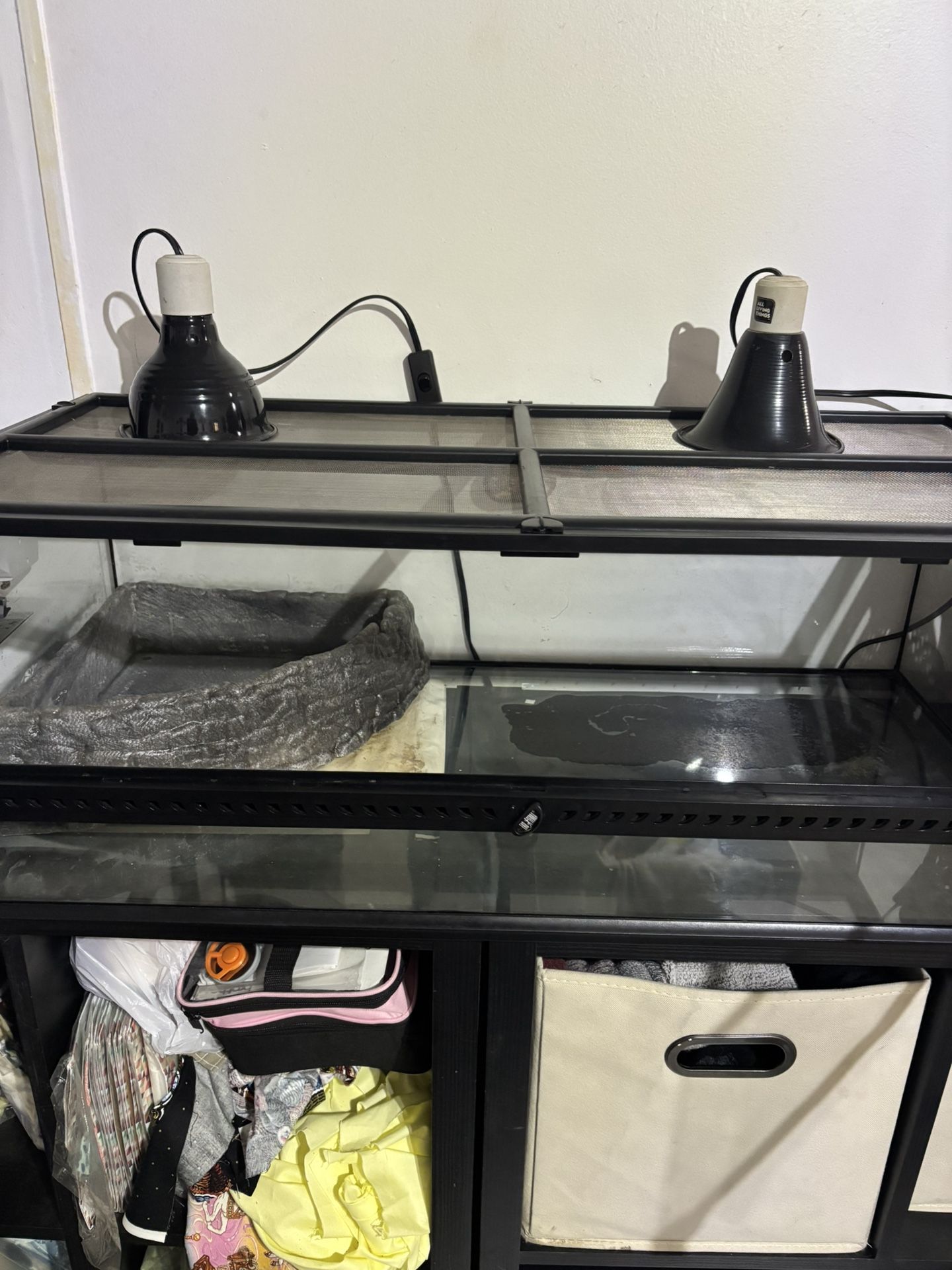 Snake Tank Set Up