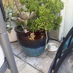 Ceramic Pots 
