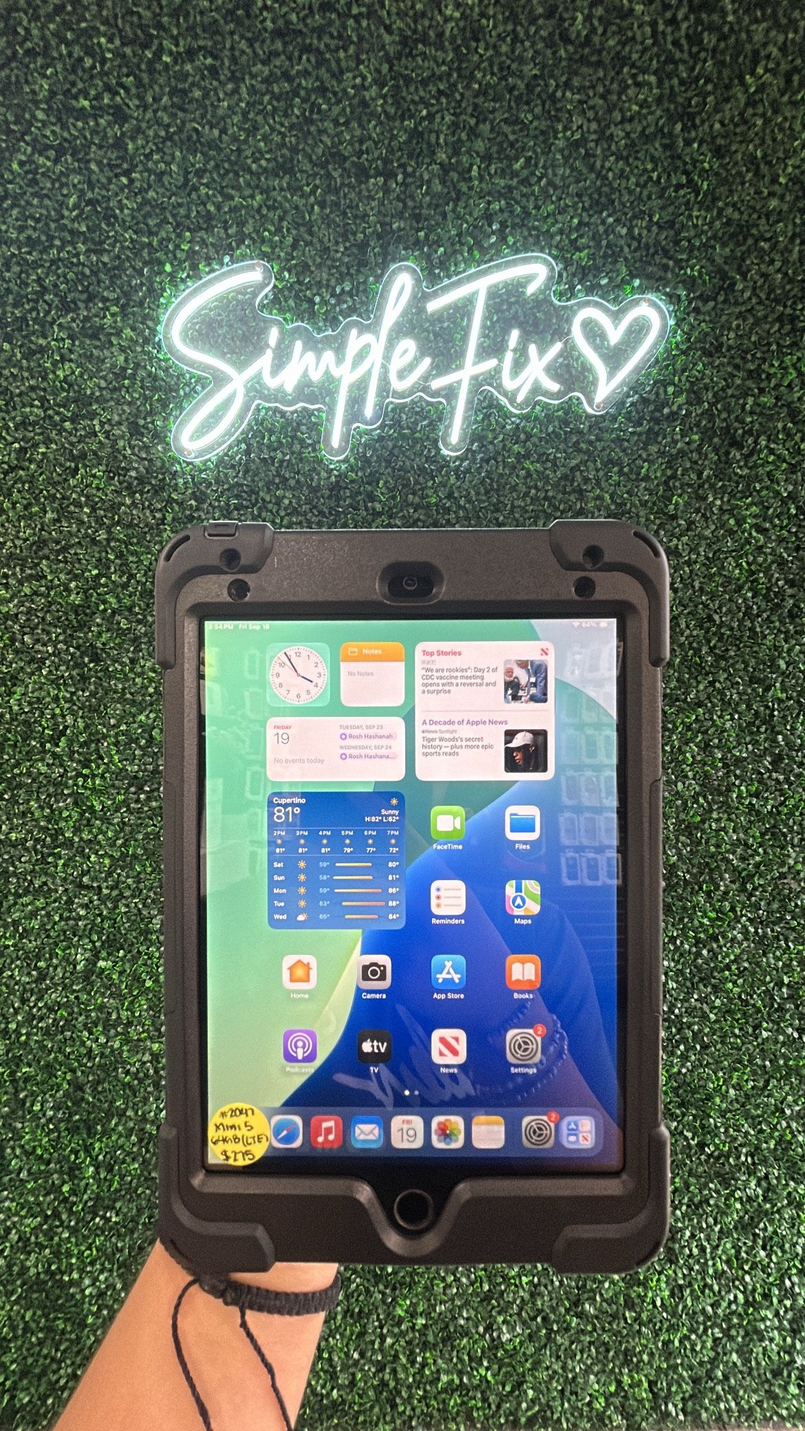 iPad Mini 5 (WiFi & LTE)