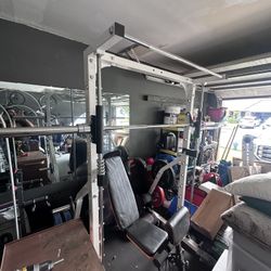 Deltech Smith Machine 