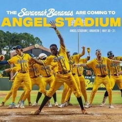 Savannah Banana Ticket