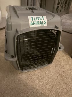 Dog Travel Crate & Feeder