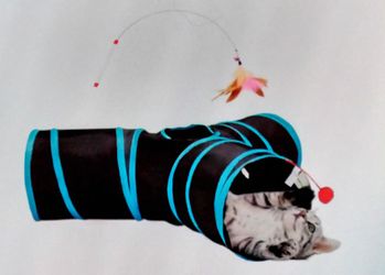 Cat Tunnel 3-way - $10 - New
Includes feather wand 