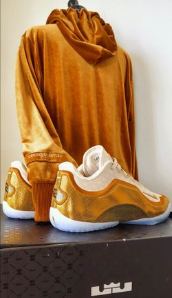 Nike LeBron 23 Lebronto w/ matching Crooks Hoodie