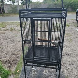 Birds Case 