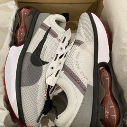Nike AirMax 2021   Size 10.5/11/12