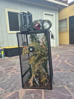 Tank For Lizards With Heat Lamp