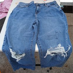New Forever 21 Pants Size 14 