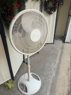 Fan 20$