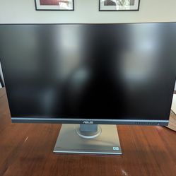 Asus ProArt Monitor PA278QV