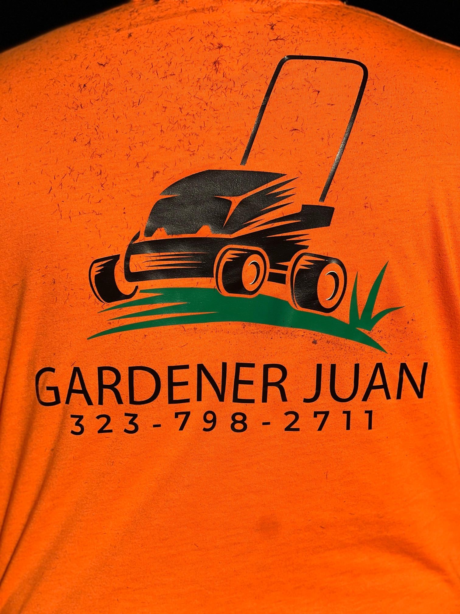 Juan Guerra