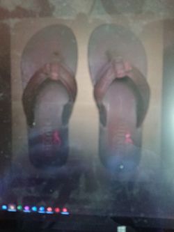 Hollister Dude's Flip Flops Size Large New With Tags