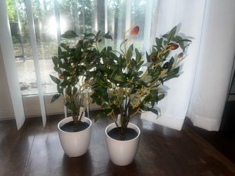Artificial Olive Trees in White Pots – Set of 2