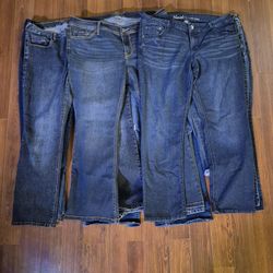 Women’s Jeans Bundle Lot Levi Torrid Natural Reflections Mixed Sizes
