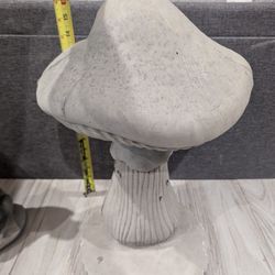 Concrete Mushroom 