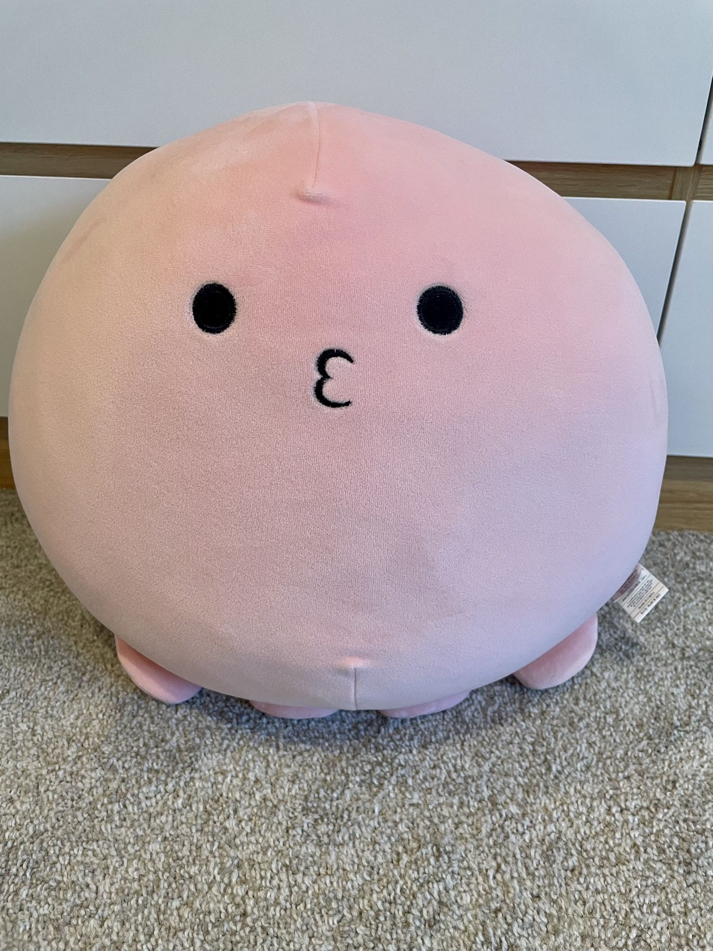 Mochi Pink Plushie