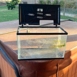 10 Gallon aquarium W/ LED lid and filter