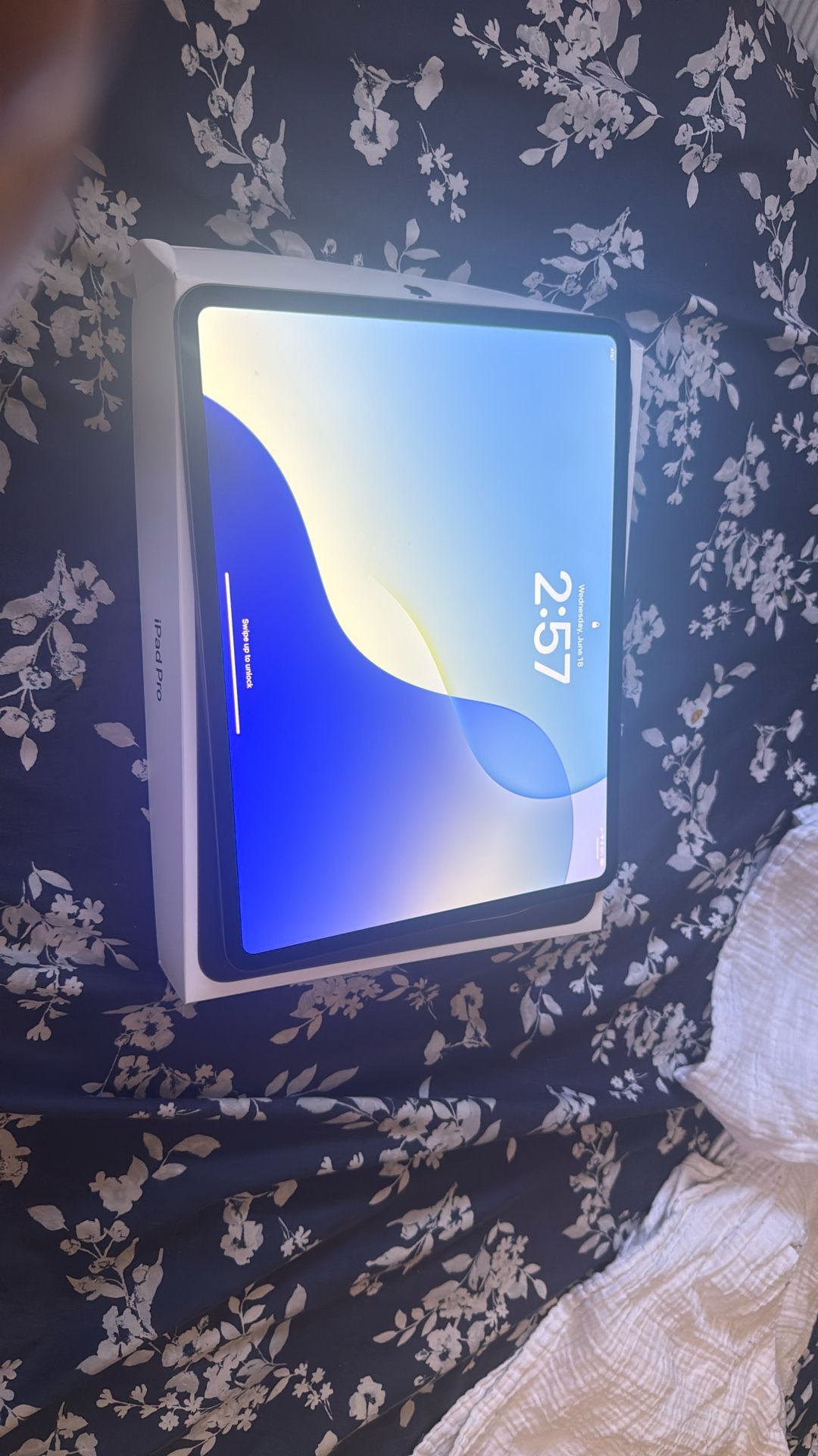 iPad 12.9 M4 256 GB
