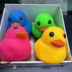 Squishy Duck 