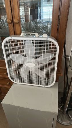 Medium white fan