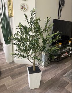Pretty Artificial plant Olive 🫒 Tree in White Planter! Brand New