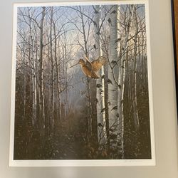 David a Maass Print Signed & Numbered Original Frame