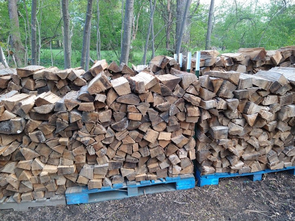 Campfire Wood - Firewood - Hardwood