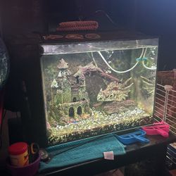 Fish Tank With Decorations And Fish