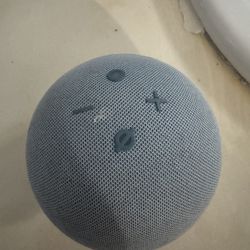 Amazon Echo Dot