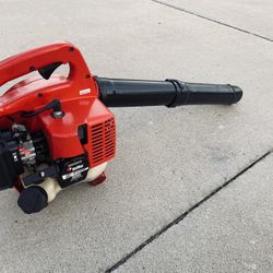 Commercial Gas Blower 
